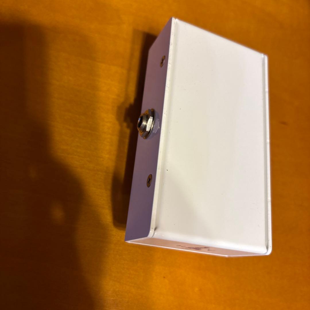 【美品】VIRTUES monica assh 内側サイン入り 写真あり