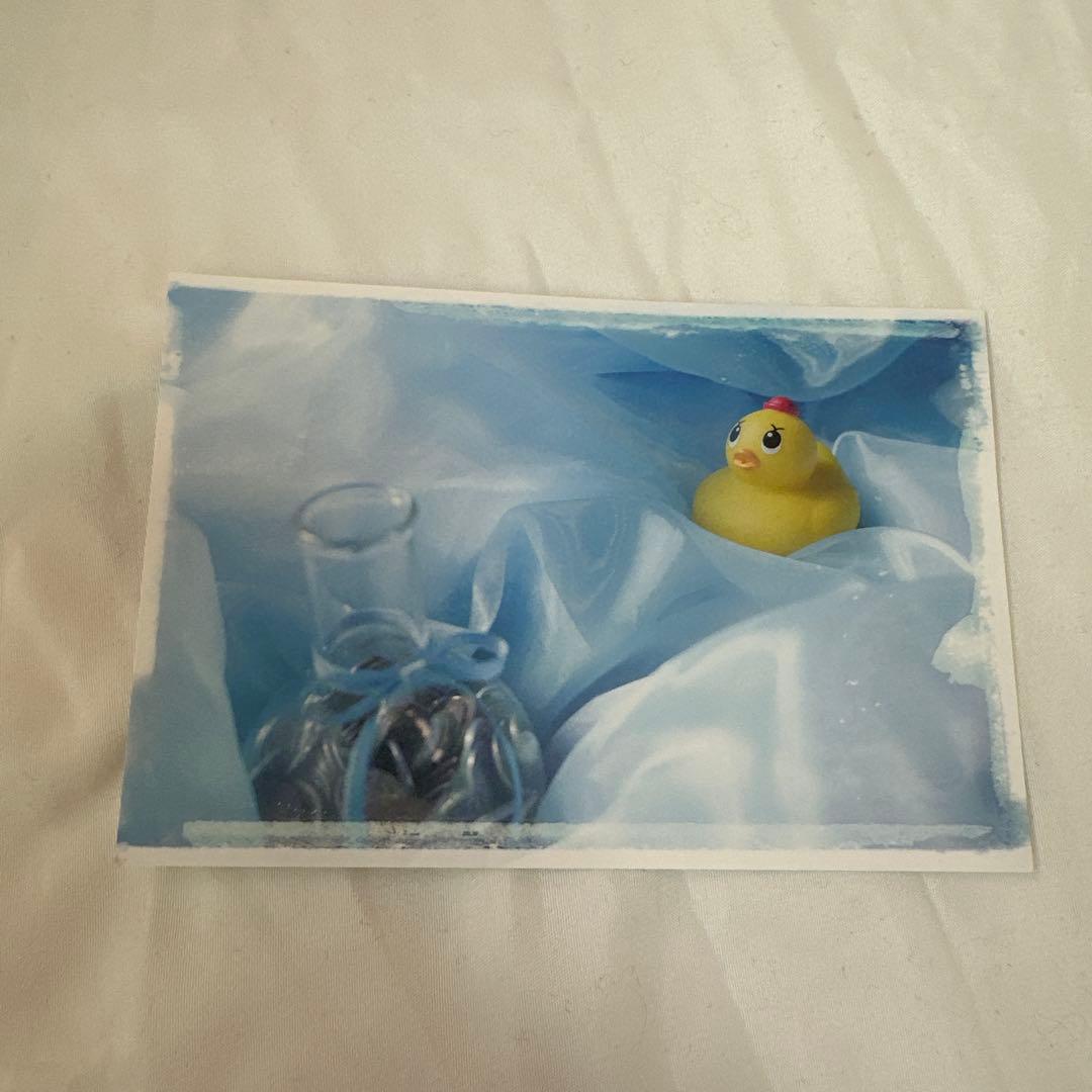 八木勇征 美しい彼 清居奏 ぬいぐるみ アクスタ ブロマイド セット