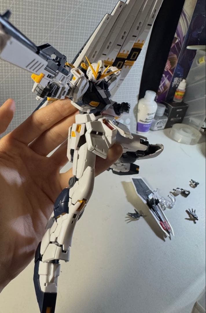 RG ガンプラ 完成品2体セット