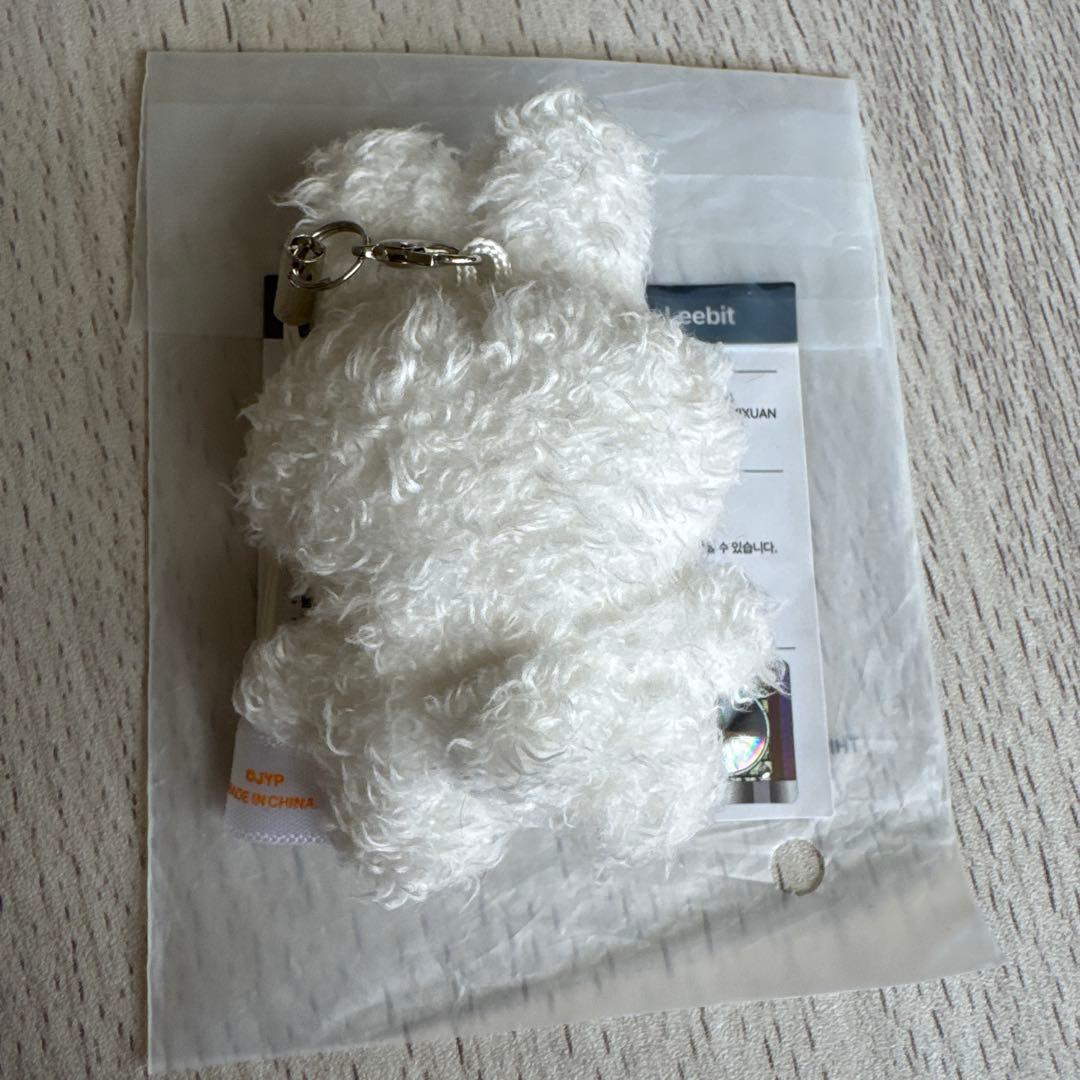 SKZOO KEYRING MICRO Ver 5'CLOCK リービット リノ - メルカリ