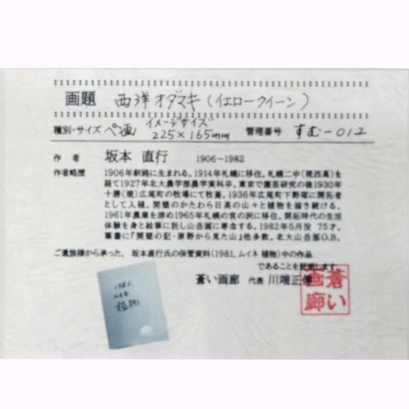 ☆坂本直行☆「 西洋オダマキ（イェロークィーン）」ペン画　太子　未使用！