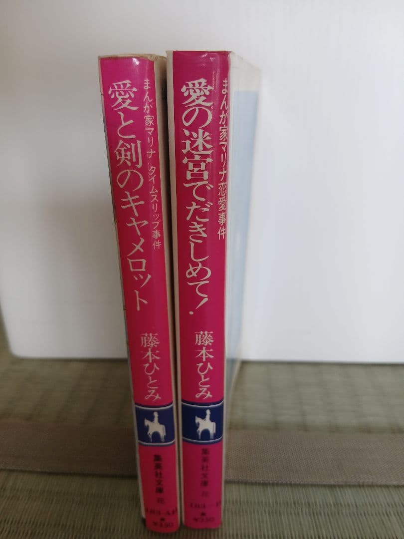 藤本ひとみ コバルト文庫 2冊セット - メルカリ