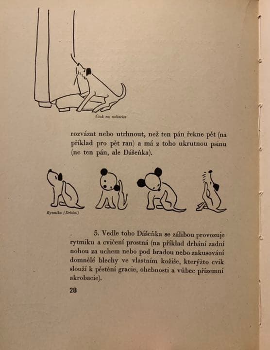 稀覯本】カレル・チャペック著『ダーシェンカ』Dášeňka 1946年版