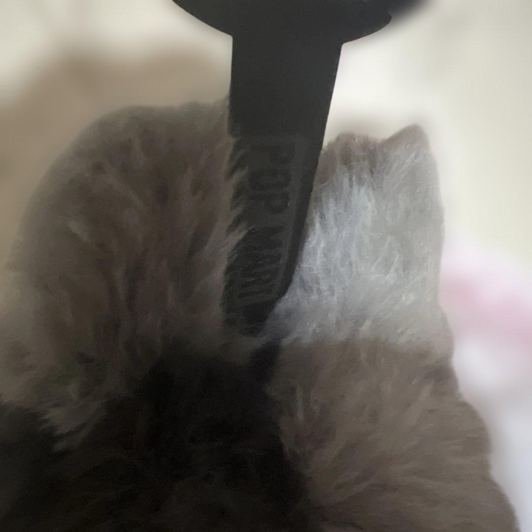 ぺ*け様 【正規品】Labubu Big into Energy ラブブ シーク