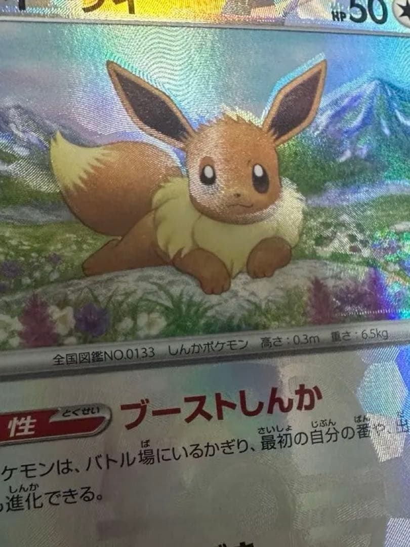 イーブイ ブラッキー マスボミラー 魂抜けエラー セット