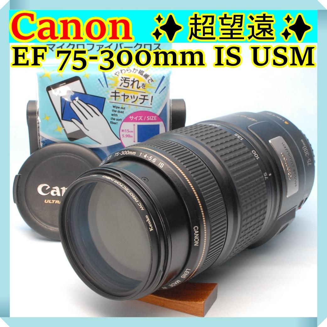 ✨超望遠✨美品 キヤノン 75-300mm IS USM レンズ フィルター付 Amazon.com : Canon 75-300mm F4-5.6 III EF Lens (Non-USM) : Camera