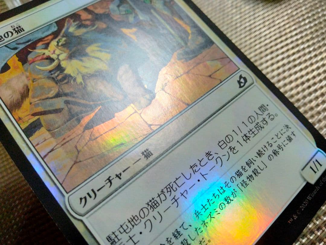 【ご確認用】イコリア foil 駐屯地の猫b 日本語 1枚　MTG