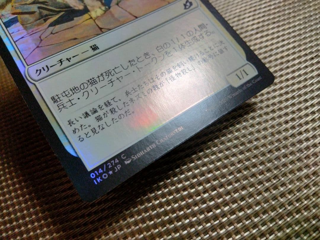 【ご確認用】イコリア foil 駐屯地の猫b 日本語 1枚　MTG