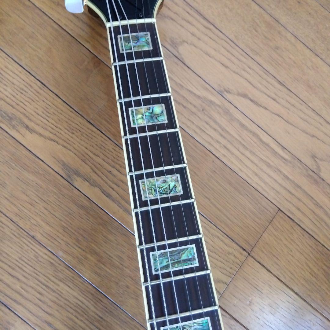 アイバニ―ズ　フルアコ　AK95―DBS―12―03　ソフトケ−ス付き