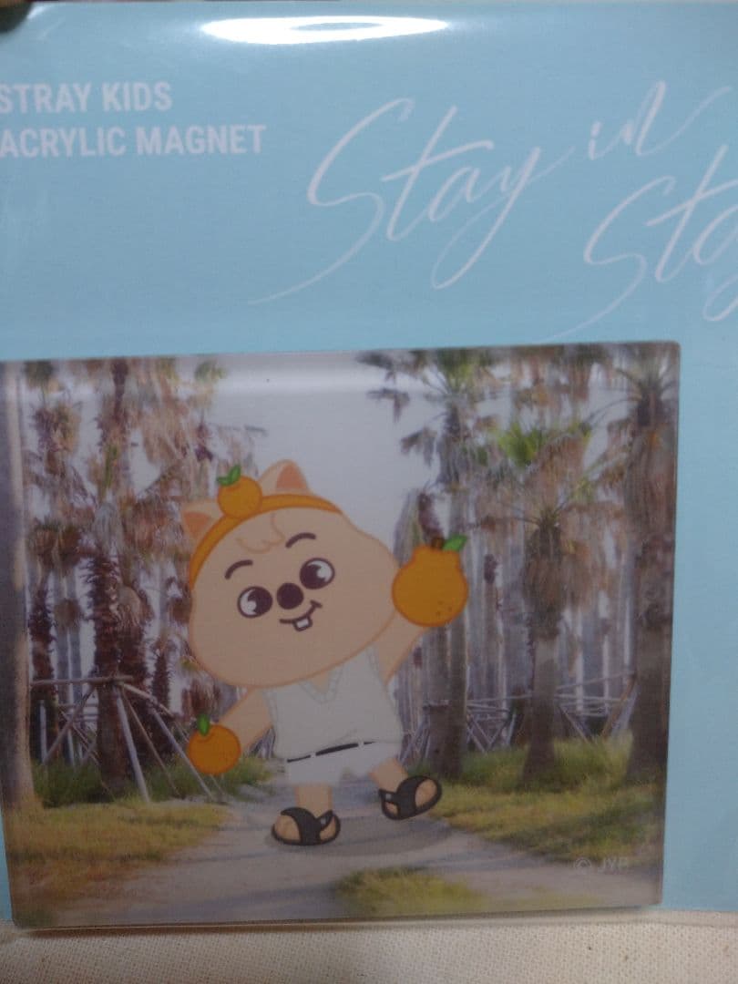 ハン ジソン SKZOO straykids チェジュ スキズ マグネット - メルカリ