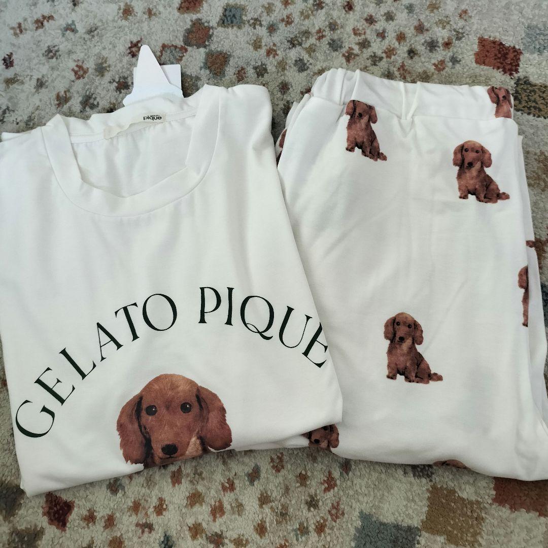 ルームウェア パジャマ ジェラートピケ 上下セット dog柄 ダックス