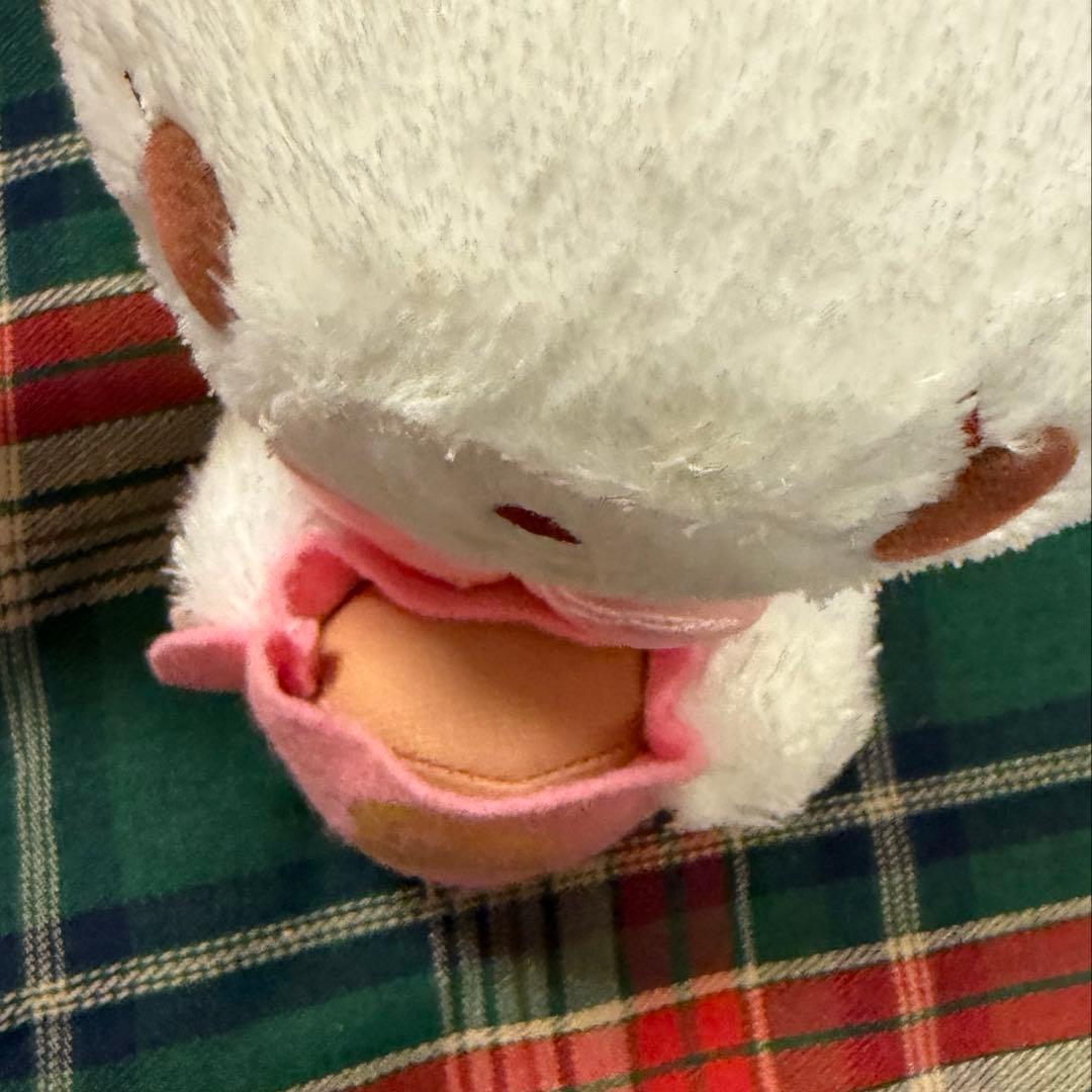 シュガーバニーズ しろうさ ぬいぐるみ