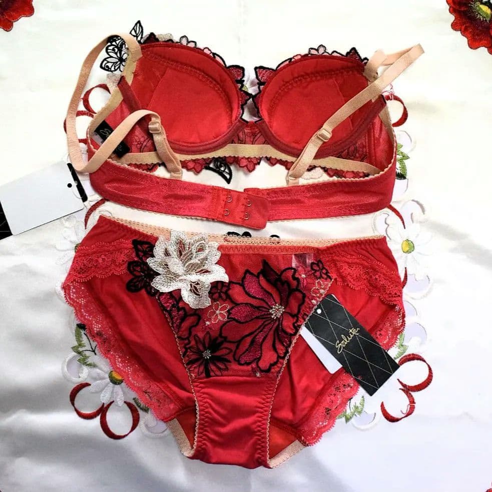 新品☆ワコール☆サルート☆96G・プラダを着た悪魔☆RE☆E70＆