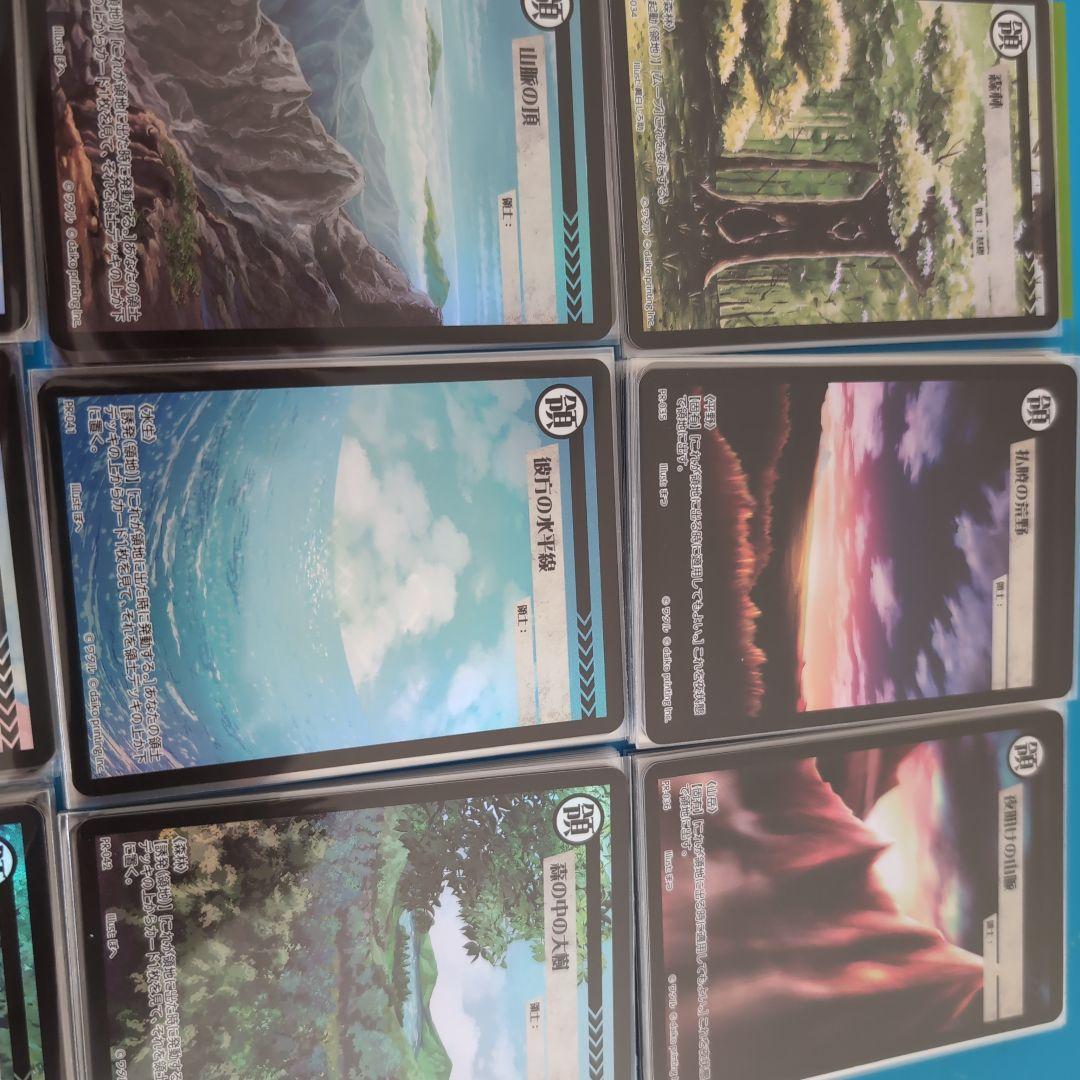 【大量追加しました】アニマルカードゲーム　領土カードPR クラファン限定