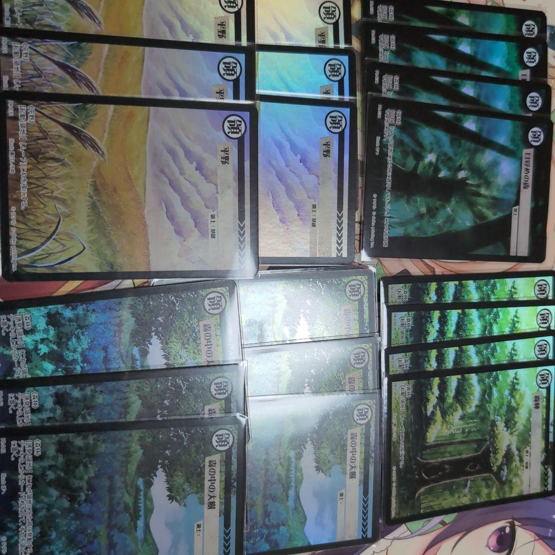 【大量追加しました】アニマルカードゲーム　領土カードPR クラファン限定