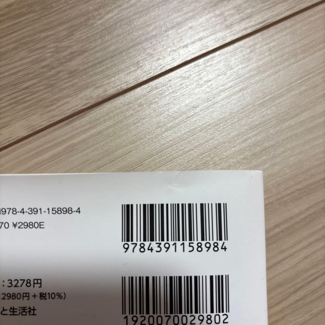 原神 御建鳴神主尊大御所大人像 フィギュア ＆ 原神ファンブック