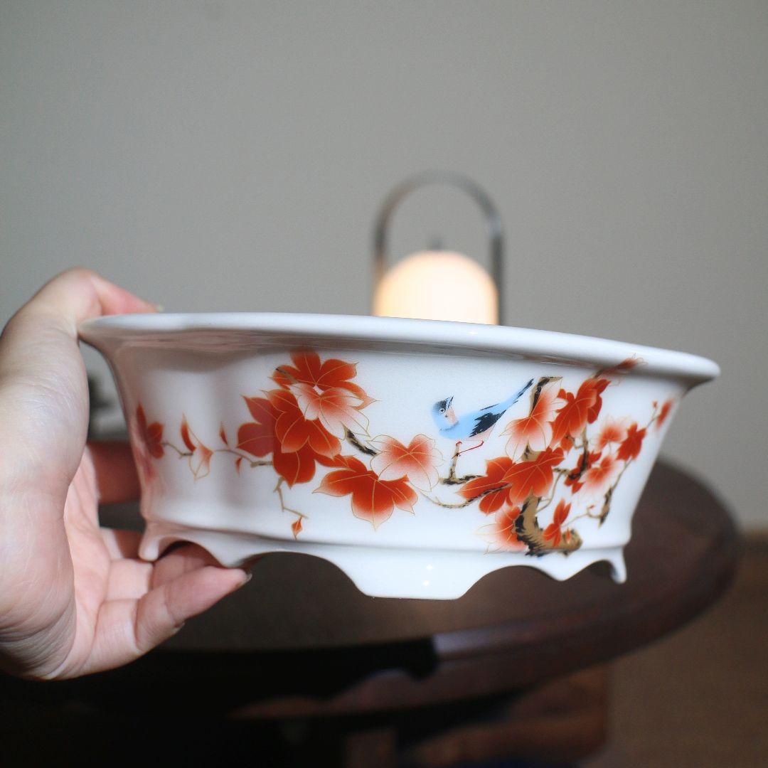 紅花海棠形陶器鉢 盆栽鉢 山野草鉢 多肉植物 植木鉢 小品大品盆栽鉢 置物 桜ともみじの寄植え 信楽焼作家鉢6号 信楽焼作家鉢の盆栽を販売｜盆栽