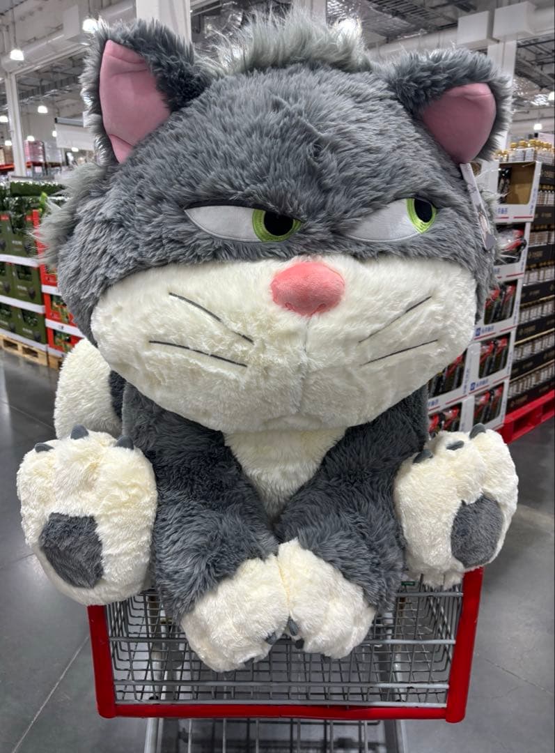 コストコ ルシファー 特大ぬいぐるみ 80cm