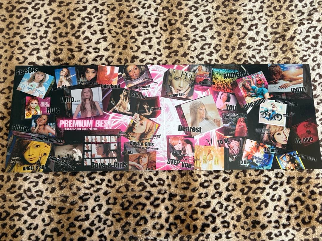 非売品❤︎浜崎あゆみ❤︎特大パンフレット・クリアケース付