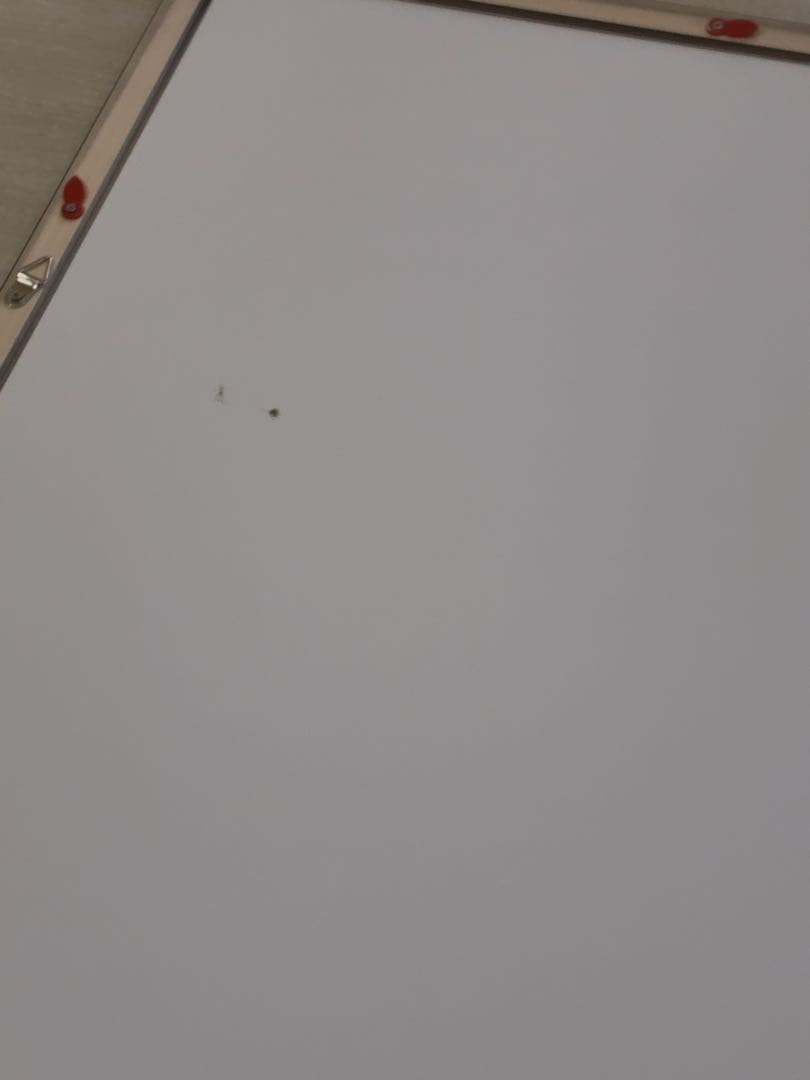 ゴジラ x Rockin’Jelly Bean & Tankro Kato