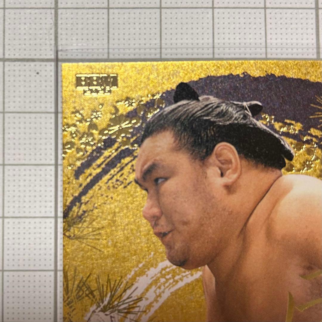 BBM 2026 大相撲カード インサート 巨星 豊昇龍 智勝 50枚限定 - メルカリ