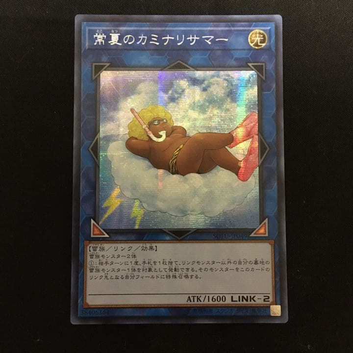 PSA10 常夏のカミナリサマー20thシークレット遊戯王yu-gi-oh