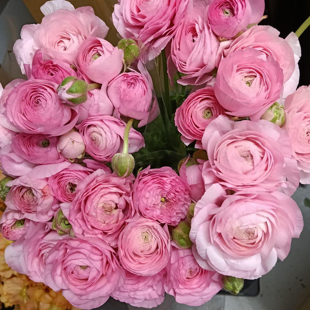 mm様 リクエスト 2点 まとめ商品 - メルカリ