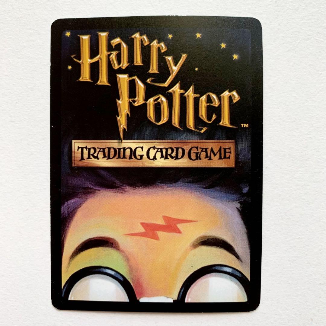 ハリーポッタートレーディングカード プロモ イレジビラス - メルカリ