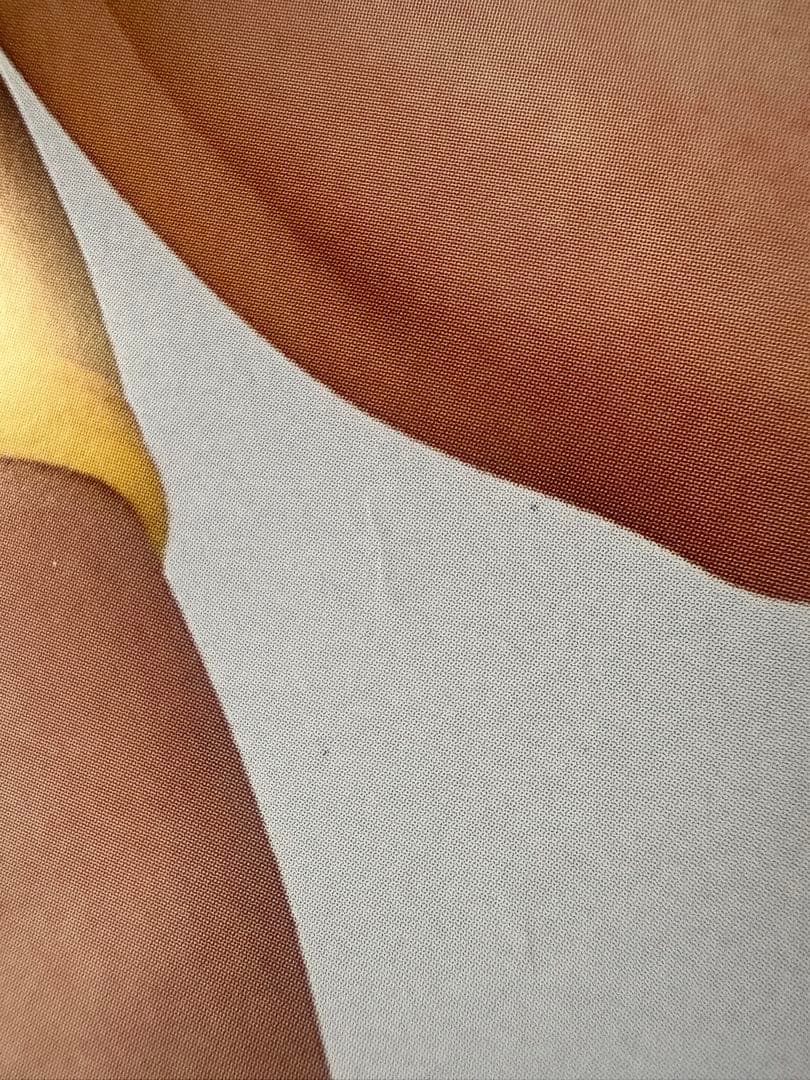 山本梓 等身大ポスター ヤングサンデー応募者全員サービス 黄色水着で挑発