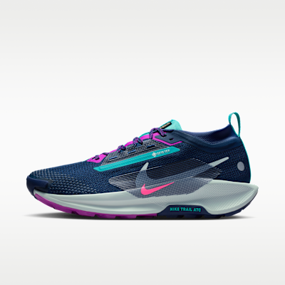 NIKE+PEGASUS+TRAIL+5+GTX.png