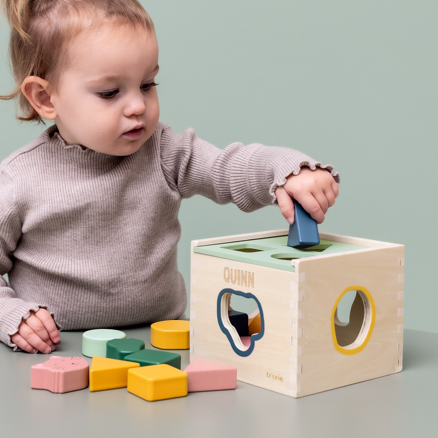 Personalised Trixie wooden sorting cube | YourSurprise