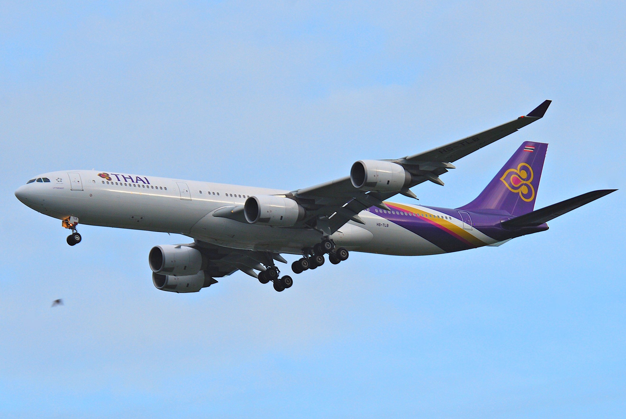 What Happened To Thai Airways' Airbus A340s?
