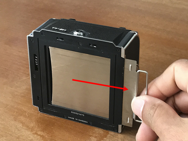 フィルムマガジン『A12』 – Studio Hishiki