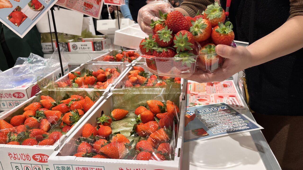 墨田区】激アツ！お得ないちごバイキングにチャレンジしました～東京