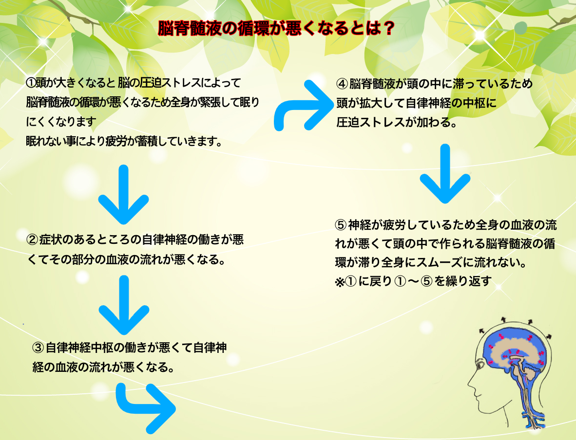 脳脊髄液調整法（CSFプラクティス） – さんさん整骨院 阪急神戸線 神崎