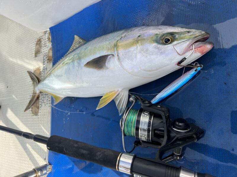 近海ジギングのスタンダードJIGFORCE SSD S603 | 須江のブログ