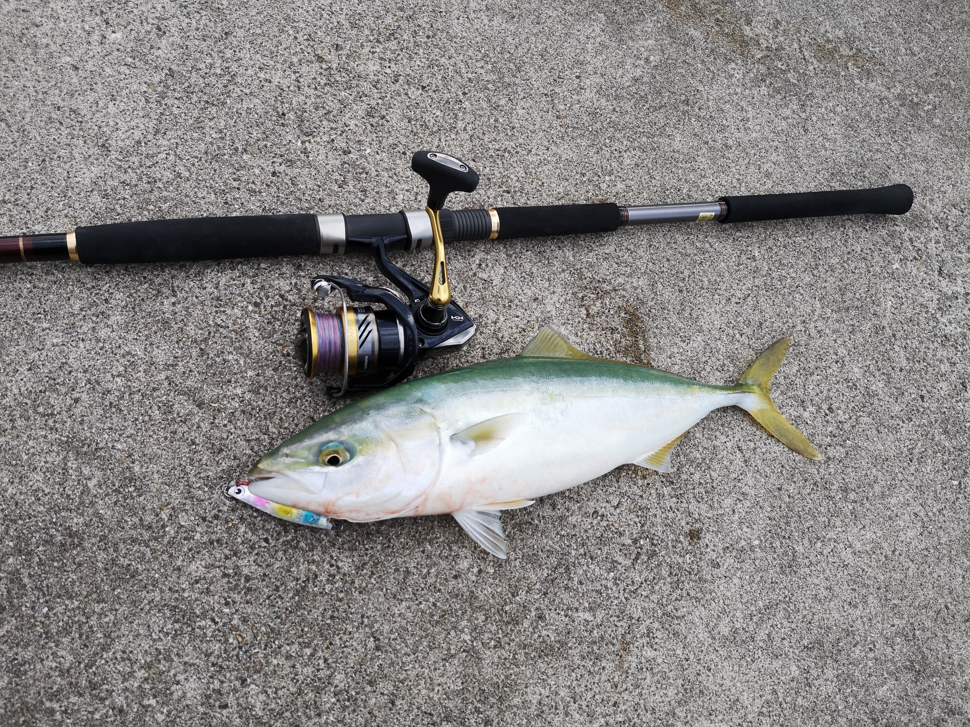 ダイワのジグキャスター97MHを1年使ったのでインプレするよ