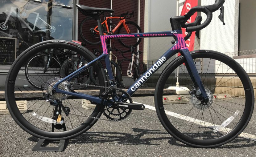 NEW TESTサドル 拡充いたしました！POWER EXPERT WITH MIRROR 143/155